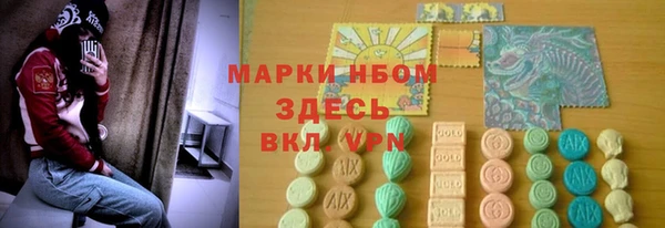 стаф Нефтегорск
