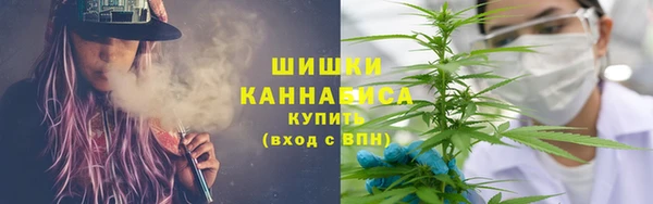 винт Нея